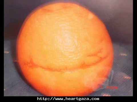 ياسمين الخيام يا سيد الخلق يا طه Flv