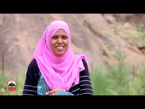 Harka Seenaa Hojjete Dokumantarii Godina Harargee Bahaa