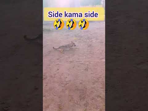 Side Kama Side RS BERKANE VS SIMBA SC Shots Funny Simba Rsberkane Side Kama Side RS BERKANE VS SIMBA SC Shots Funny Simba Rsberkane