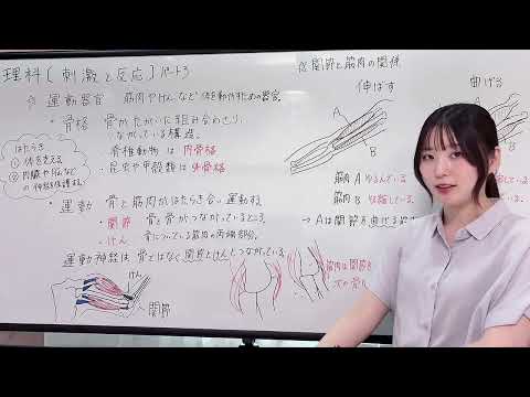 中学理科 刺激と反応part3