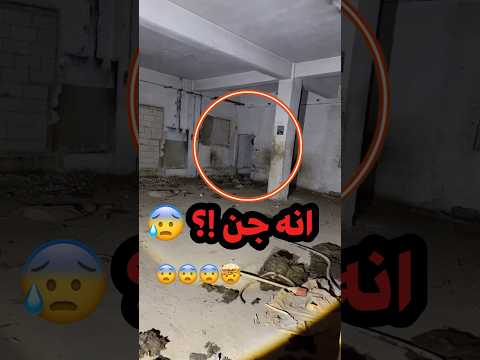 صدمة هذان الرجال كانوا في مغامرات للبحث عن الجن انظر ماذا وجدوا صدمة هذان الرجال كانوا في مغامرات للبحث عن الجن انظر ماذا وجدوا