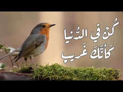 كن في الدنيا كأنك غريب الشيخ خالد الراشد