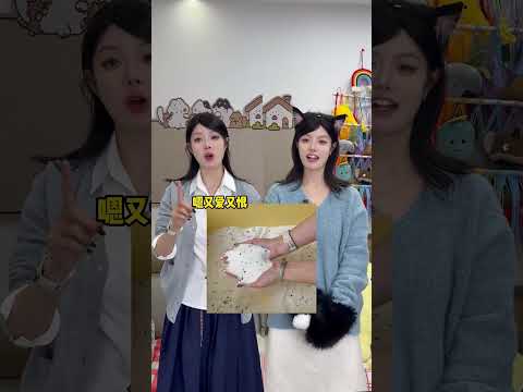 Mingpai Vs 6 Top Cassava Cat Litters Unbiased Comparison