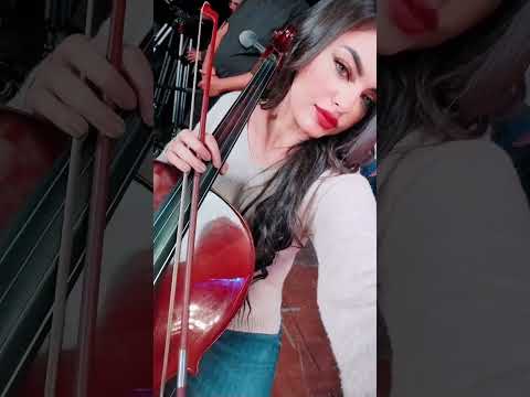 Cello Love Music Dinagaber Cellist