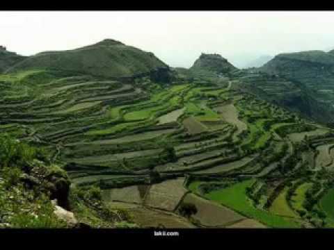 ايوبيات فرقة النورس رؤؤعه تحياتي يوسف الرفاعي MP4 360p ايوبيات فرقة النورس رؤؤعه تحياتي يوسف الرفاعي MP4 360p