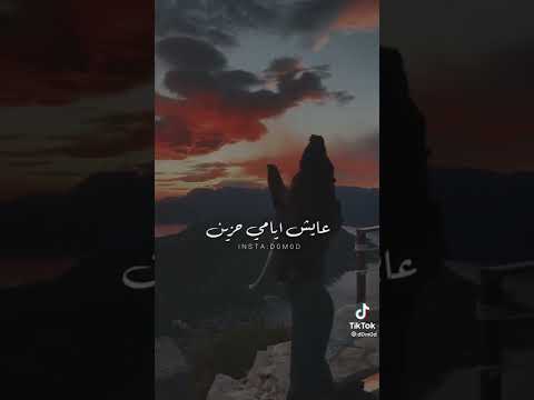 هنا ولا هنا قلي متى تسكن جوري قطان مواهب الوليفارد كذا ولاكذا