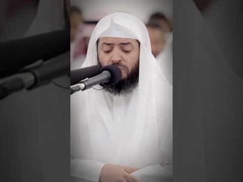 الشيخ وديع اليمني جديد التلاوات المرئيه رمضان 1444ه