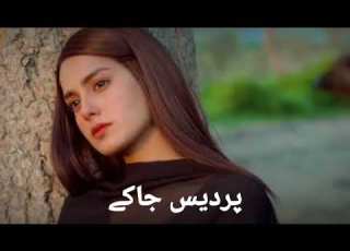 پیشاں موڑ وے ڈھولا تیڈی لوڑ پے گئی Qaisr Beautiful Song
