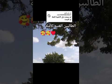 نمر بربر قشرة