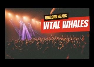 Vital Whales By Unicorn Heads Musiceletronic Baleia Whales
