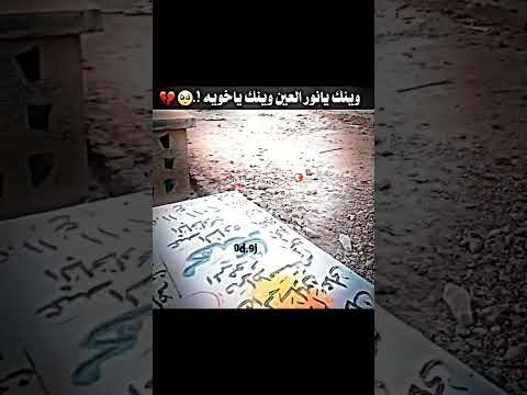 وينك يا نور العين وينك ياخويه