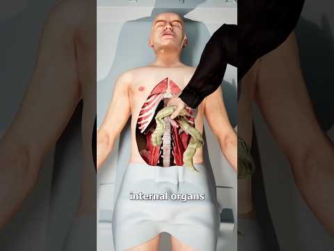 ماذا لو توفيت في ايام الفراعنه