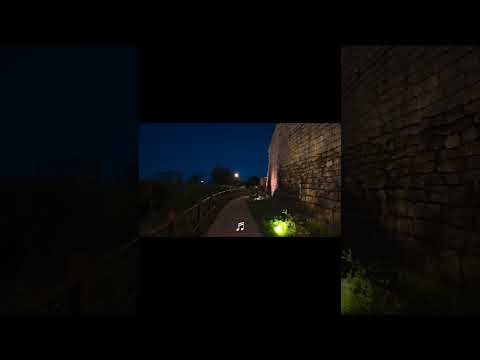 موسيقى كلمات ل ماجدة الرومي