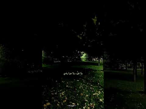 أفتش في فؤادي عن فؤادي