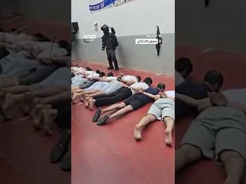 تغطية صحفية بالكلاب تنكيل وحشي بأسرى فلسطينيين في سجن مجدو الإسرائيلي