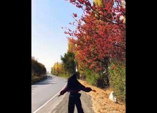  زیبایی مدینه آواز خوان تاجکی با آهنگ یار یار مینو