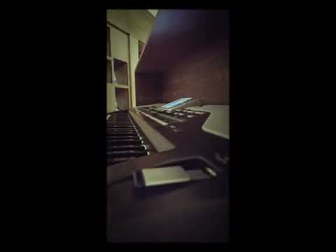 وفيق حبيب هاجر Wafek Habib