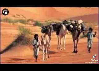 رائعة محمد يحي ول مك اهي في مدح الشيخ سيدي محمد التاكنيتي بحكايته العذبة الله الله إنه الشعر والله