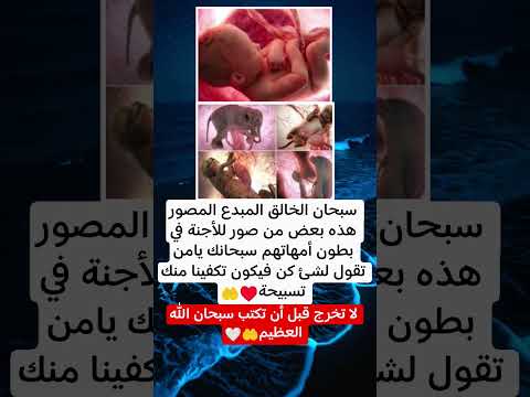 سبحان الخالق المبدع المصور صور للأجنة في بطون أمهاتهم سبحان الله الجنين الأمهات
