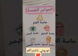 نشاط تعليمي عن الحواس الخمس