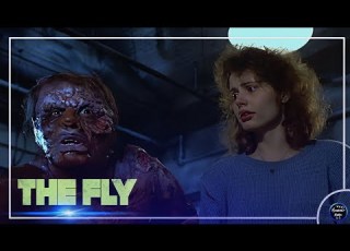  ام بتعمل علاقه مع ذبابه مفترسه وبيخلفوا مخلوق غريب ملخص ثنائية فيلم The Fly