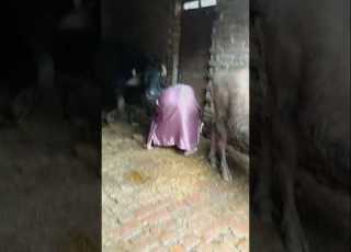  Dill Dhdkane Bali Tera Nam Kya