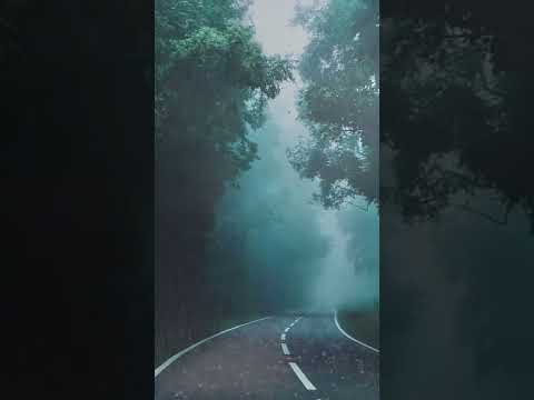 موزیک آرام بخش از طبیعت