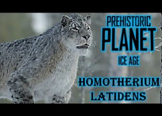  Prehistoric Planet Ice Age Homotherium Latidens Screen Time
