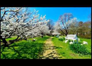 Весна Music Electronicmusic Deephouse
