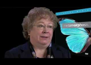  Metamorphosis And Natural Selection Featuring Biologist Dr Ann Gauger