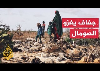 الجفاف يفاقم معاناة سكان بيدوا الصومالية ويجبرهم على النزوح