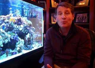  Live Rock Stacking In 120 Gallon Reef Aquarium