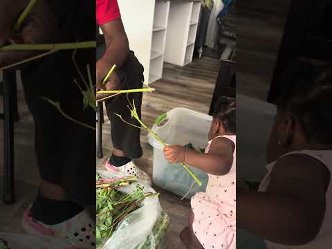 Bebe Azosal Pondu Kokamwa