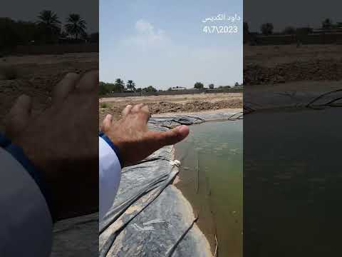 خزان ماء غير مكلف للمزارع