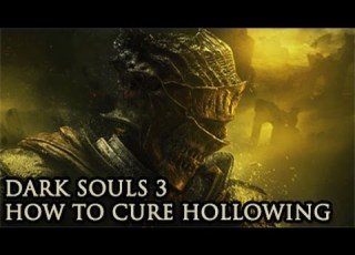 Dark Souls 3 كيف تتعالج من الهولو