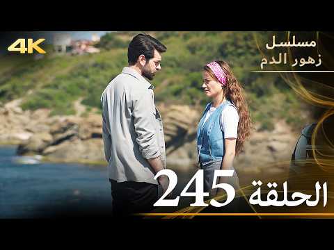 الحلقة 245 مسلسل زهور الدم مدبلج بالعربية Kan Çiçekleri جودة 4K
