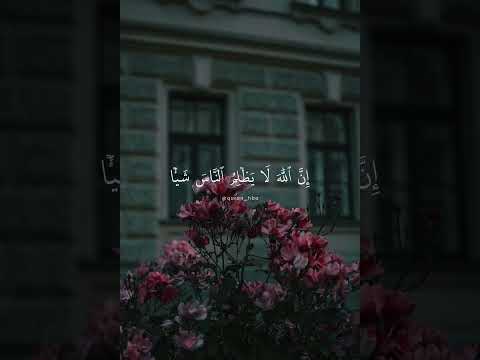 أفأنت تهدي العمي ولو كانوا لا يبصرون سورة يونس بصوت القارئ عبد الرحمن مسعد ارح سمعك أفأنت تهدي العمي ولو كانوا لا يبصرون سورة يونس بصوت القارئ عبد الرحمن مسعد ارح سمعك