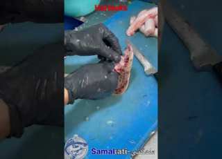 كيفاش تنقيو سمكة الحرتوكة Hartouka Poisson Bonplancasablanca Casablanca Morocco Maroc سمك