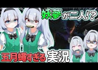 Slow Commentary A Very Noisy Half Human Half Ghost Commentary Yatsutomo