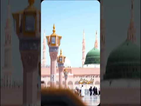 الوداع الوداع يارسول الله الوداع 2024