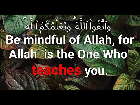 Sural Al Baqara Aya 282 Recited By Ahmed Khedr