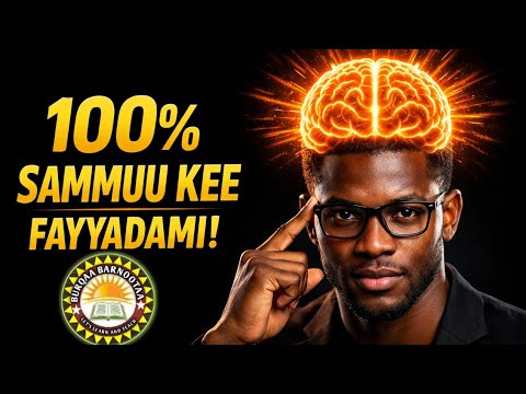 Akkamitti Sammuu Kee 100 Barumsa Irratti Hojjechiista Tooftaa Dubbisaa Qaxaleeyyii