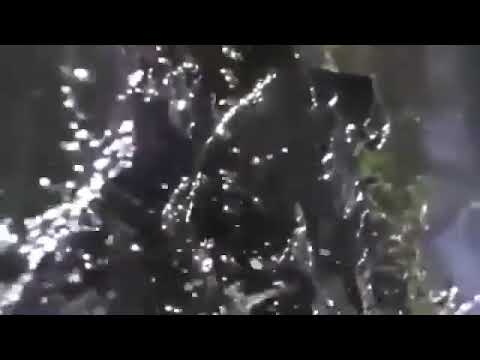 مناجاه إلهنا للشيخ الجليل الفاضل محمد حسان