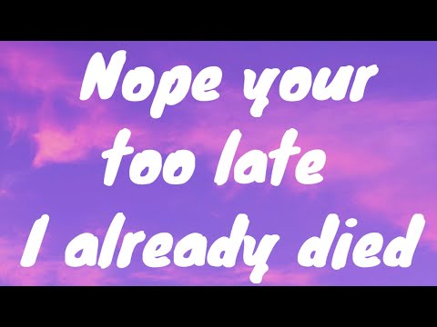 Wifiskeleton Nope Your Too Late I Already Died Lyrics