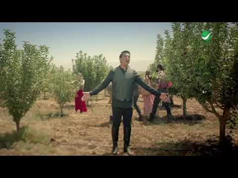 جوبي فرط الرمان