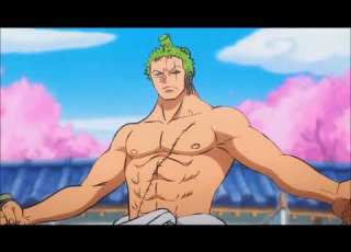Roronoa Zoro ＡＭＶ Shell Shocked