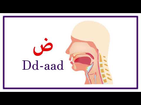 Arabic Alphabet Pronunciation All About Arabic Pronunciation