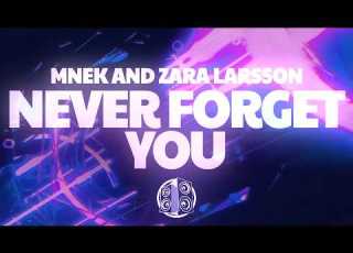  Zara Larsson Never Forget You Lyrics Ft MNEK
