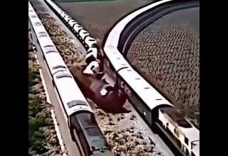 Бедный поезд рек Lonely тренд Song поезд песня Shorts врек реки Apelsinvkus пжврек