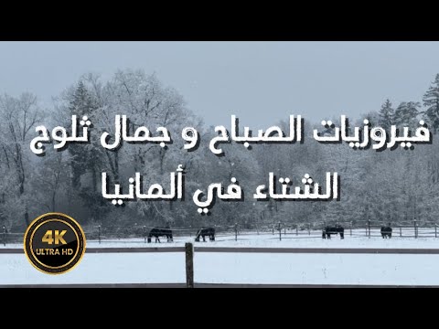 فيروزيات الصباح و جمال ثلوج الشتاء في ألمانيا Fairuz And Snow In Germany